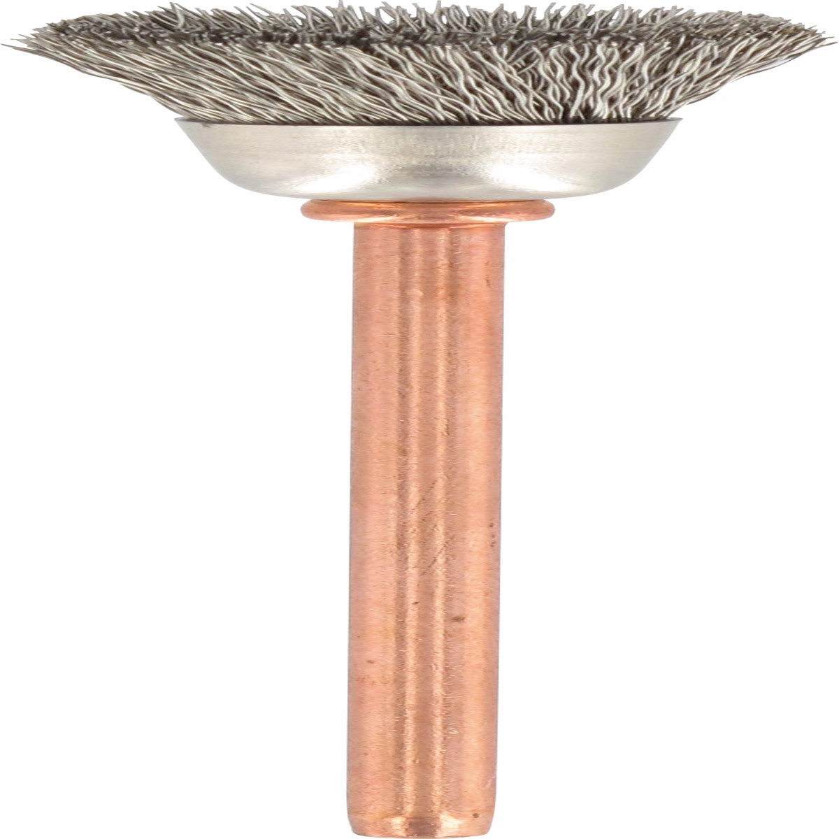 Limpar / polir Dremel (Escova de ao inoxidvel de 13 mm (531) )