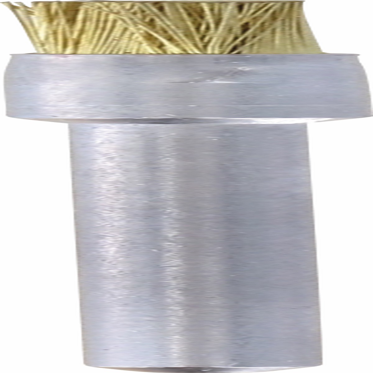 Limpar / polir Dremel (Escova de lato de 3,2 mm (537) )