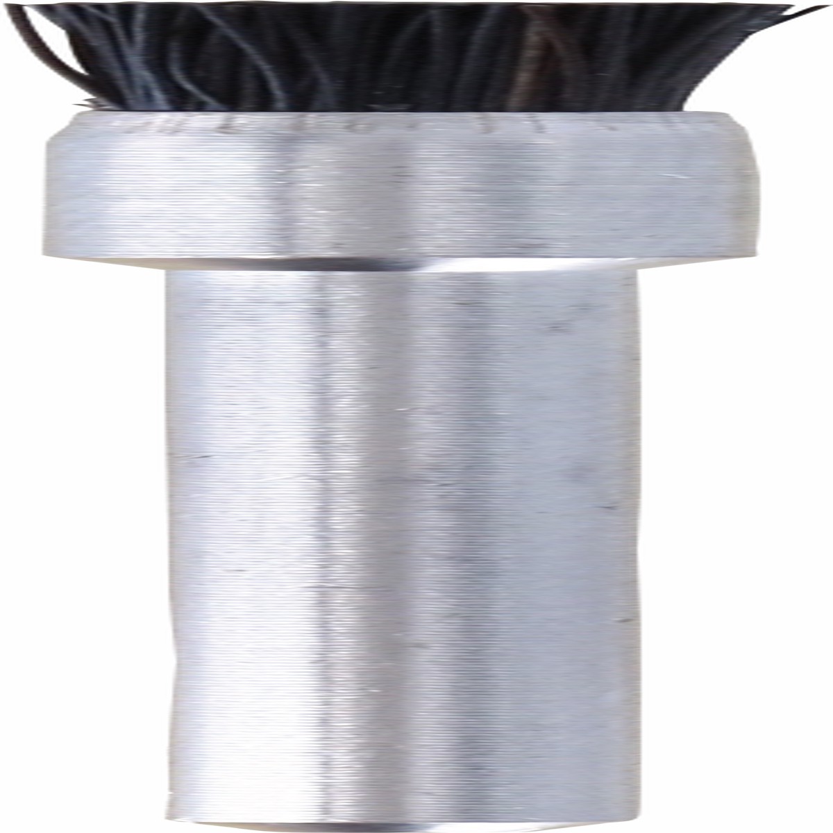 Limpar / polir Dremel (Escova de cerdas de 3,2 mm (405) )