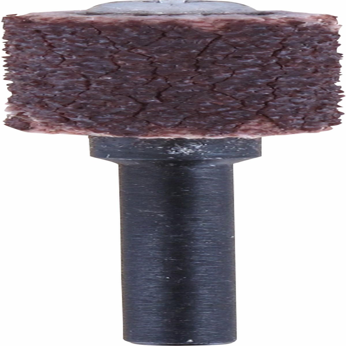 lixar Dremel (Cinta de lixa e mandril de 6,4 mm, gro 60 (430) )